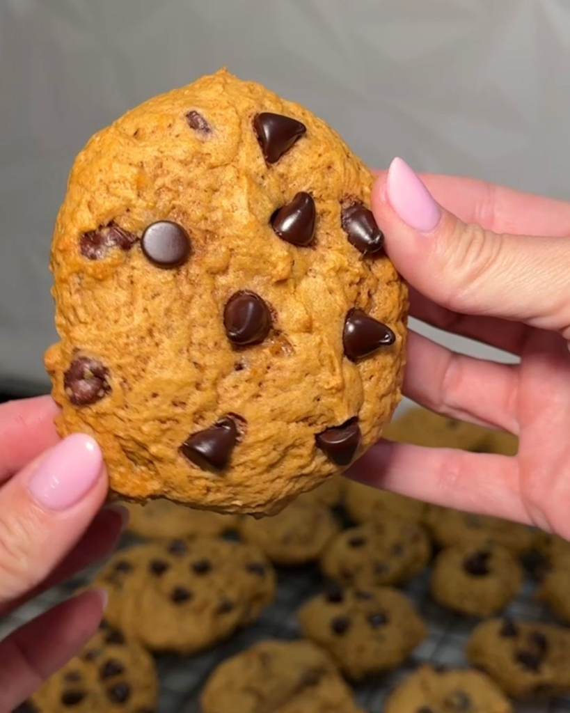 Soft pumpkin chocolate chip cookie held in hands with freshly baked cookies in the background