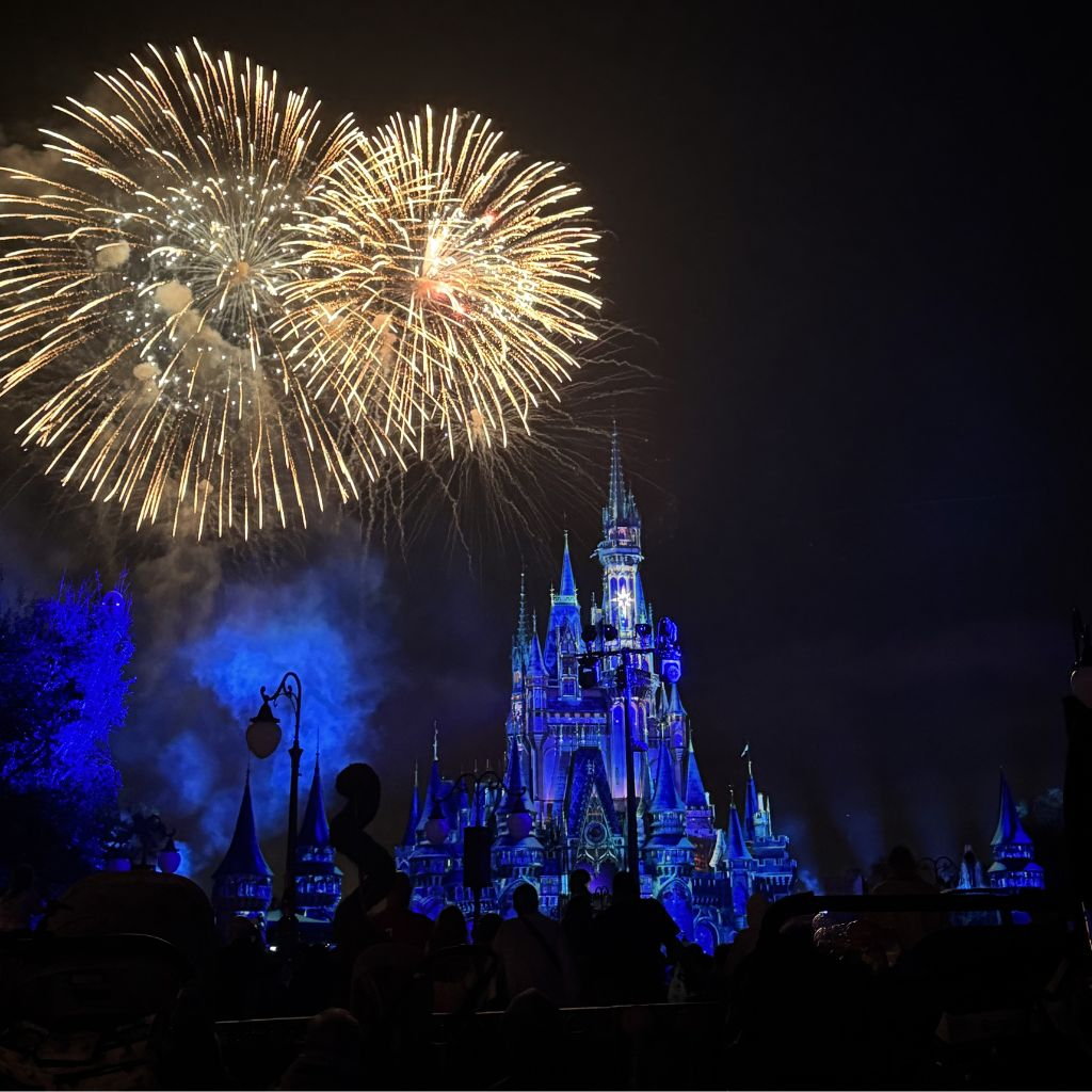 Fireworks over Cinderella Castle at Magic Kingdom during our Disney VIP Tour worth it review