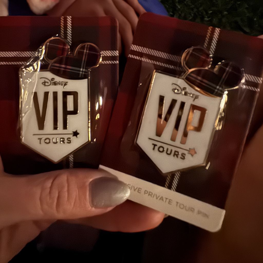 Disney VIP tour collectible souvenir pins displayed in packaging