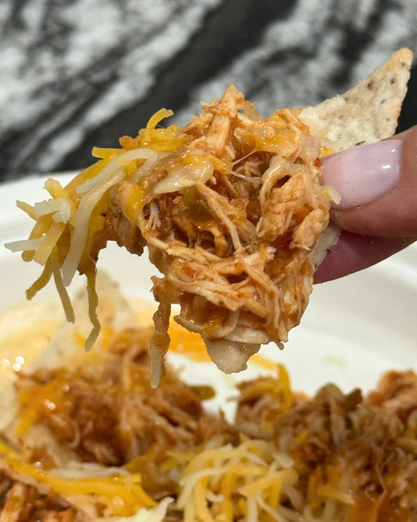 close up bite of salsa chicken nachos