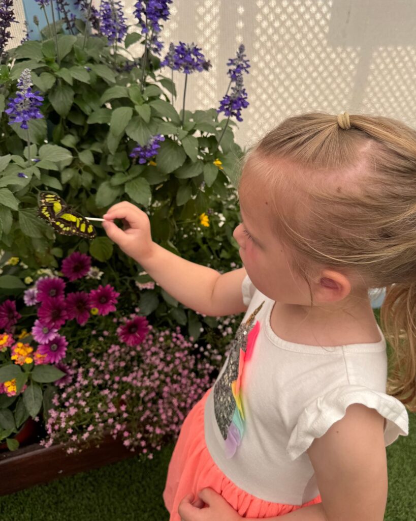 Young girl interacting with a butterfly at the Butterfly Encounter at the Carlsbad Flower Fields