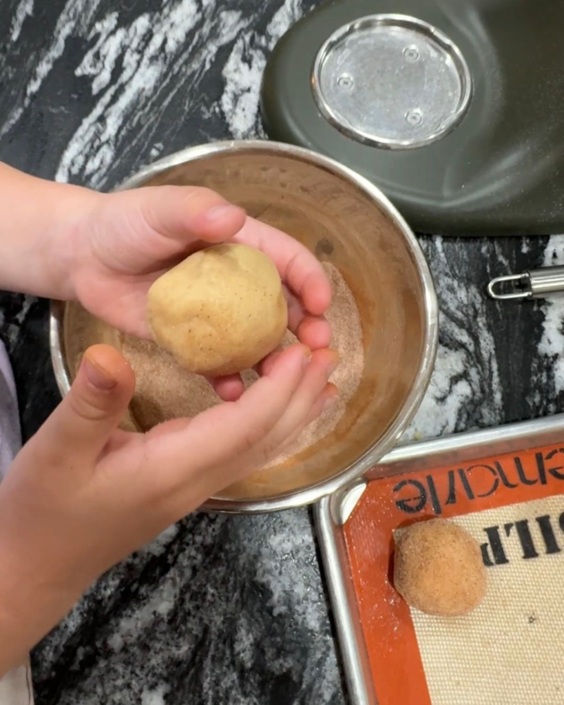 Rolling homemade snickerdoodle cookie dough into balls before baking