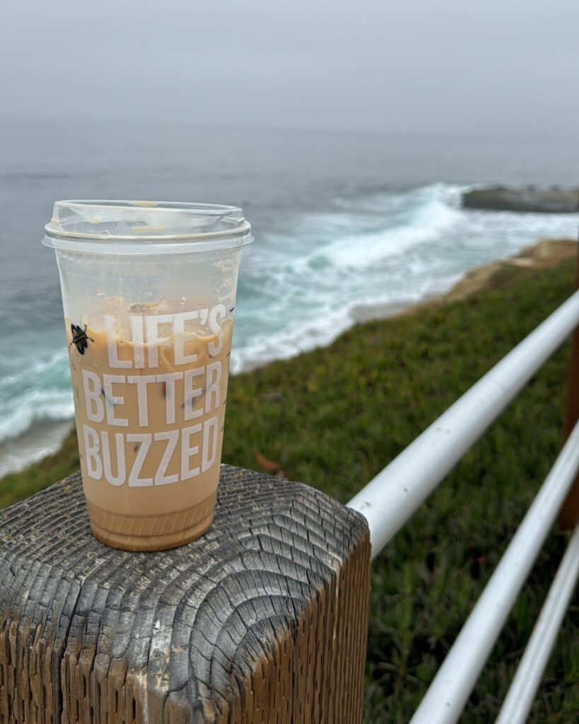 Iced coffee from Better Buzz overlooking the ocean cliffs in La Jolla.