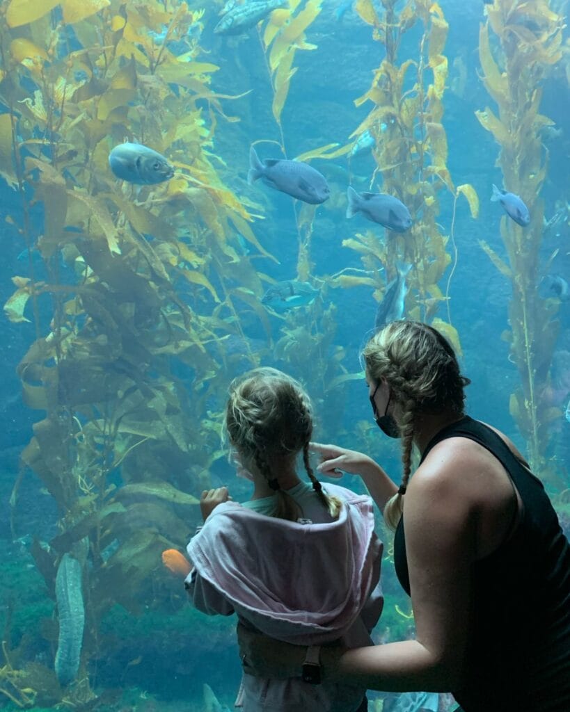 mom and daughter looking at the fish in an aquarium
