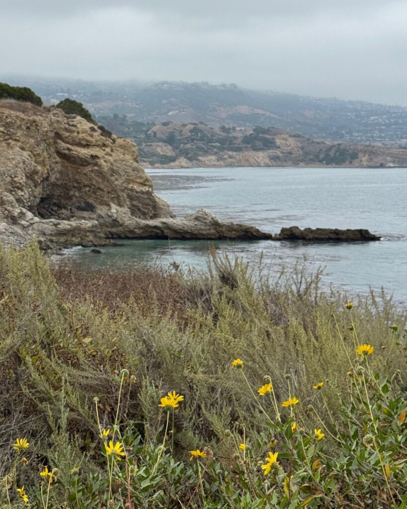 View from Terranea Resort of the cliffs and ocean