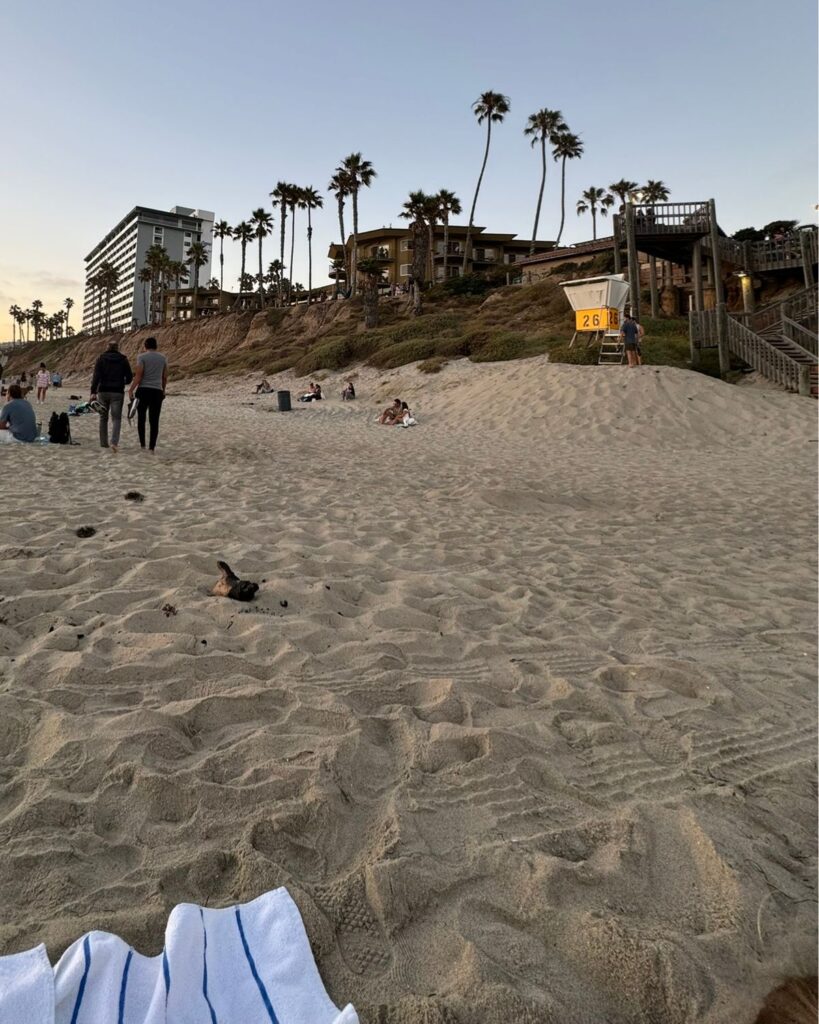 Pacific Terrace Hotel sitting on the bluff above Pacific Beach.