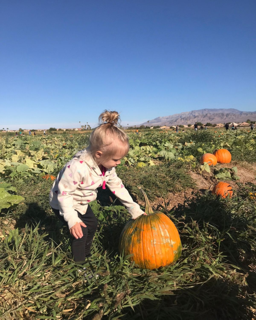 Young girl picking a pumpkin in a pumpkin field during a fall family outing